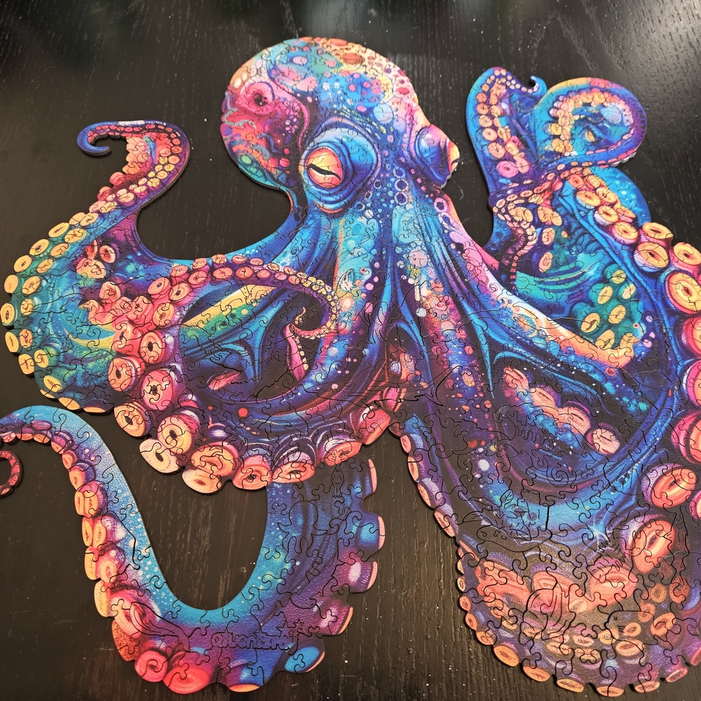 Colorful Octopus Puzzle